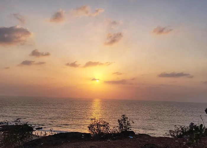 Mandala And Co- Anjuna, Goa