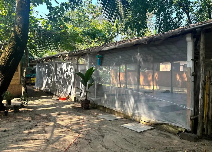 Yoga Culture Palolem