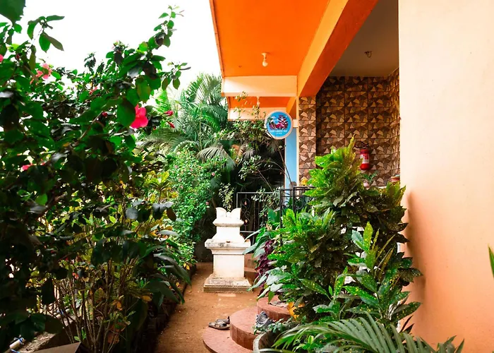 Last Minute Trip Hostel Morjim-By The Sea