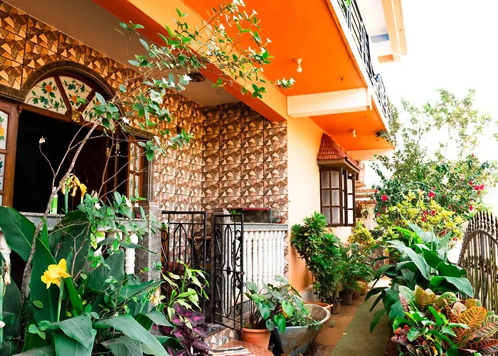 Last Minute Trip Hostel Morjim-By The Sea