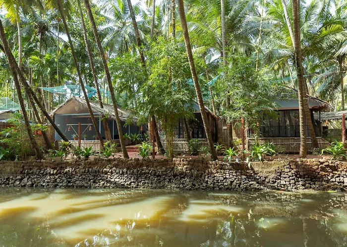Palm Trees Ayurvedic Heritage