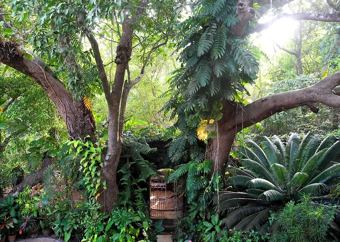 Marbella Guest House